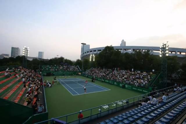 他们在比赛 他们在比赛