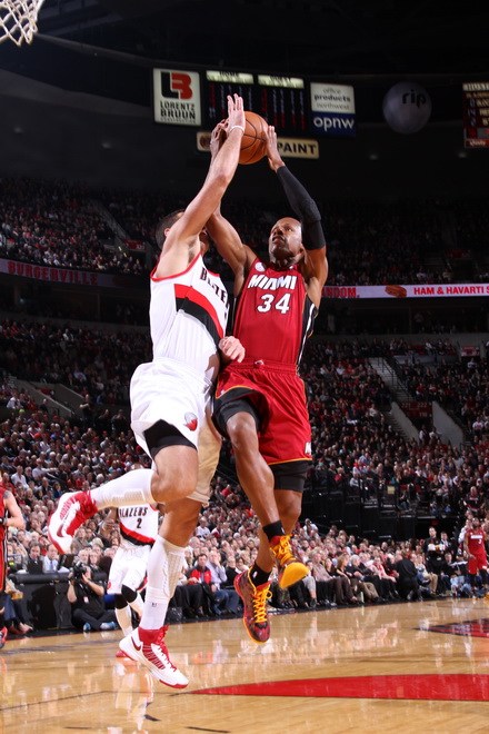 明星球员谢 明星球员谢